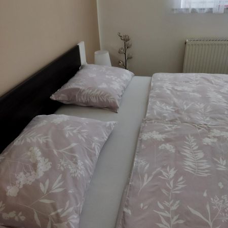Apartma Jerman - Cerknica Esterno foto