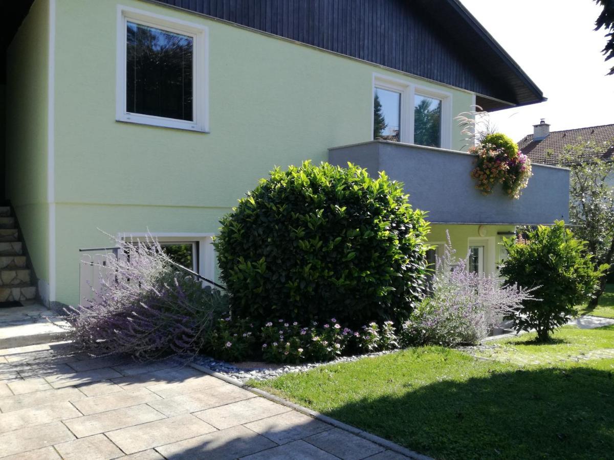 Apartma Jerman - Cerknica Esterno foto