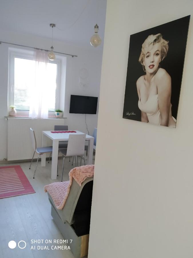 Apartma Jerman - Cerknica Esterno foto