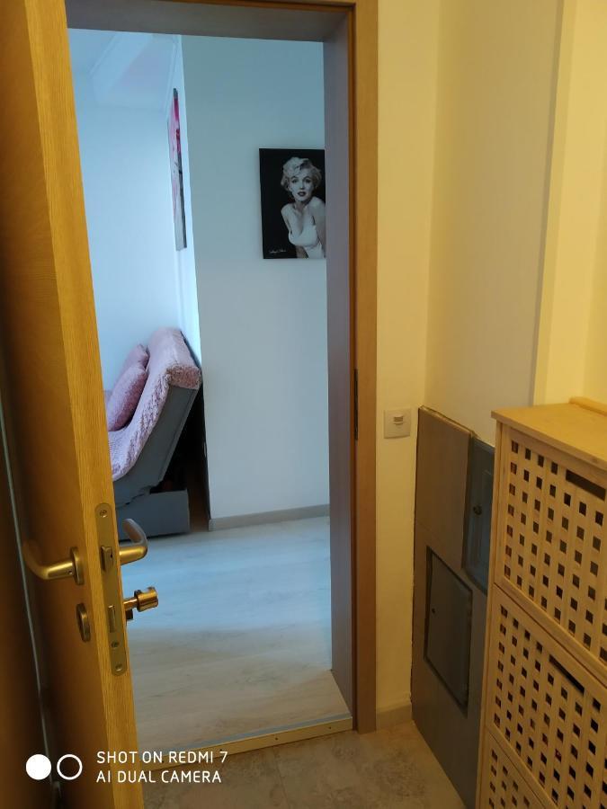 Apartma Jerman - Cerknica Esterno foto