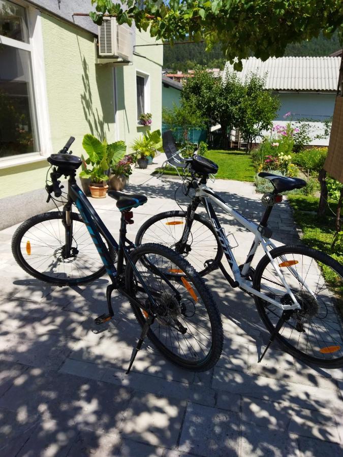 Apartma Jerman - Cerknica Esterno foto